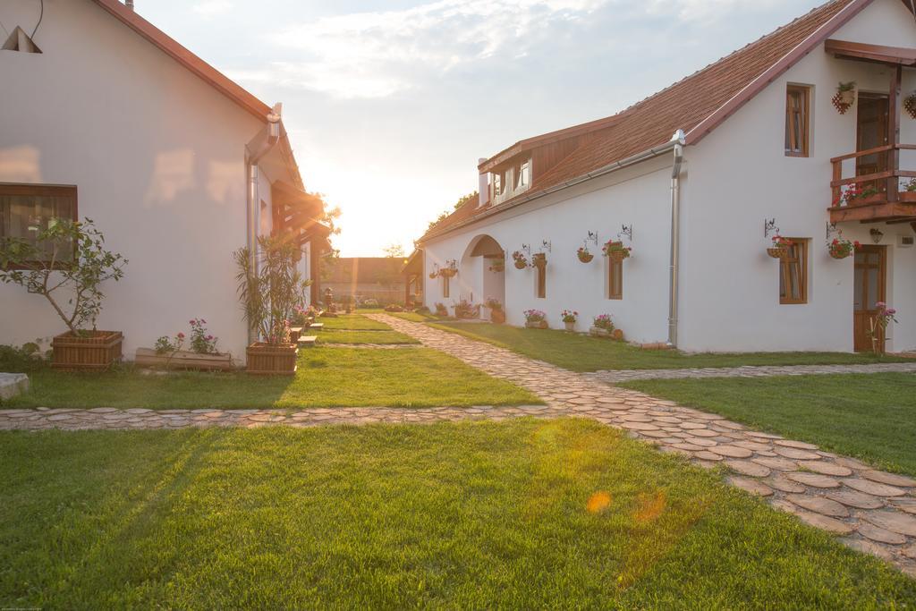 Pensiunea Casa Canda Salasu de Sus Dış mekan fotoğraf