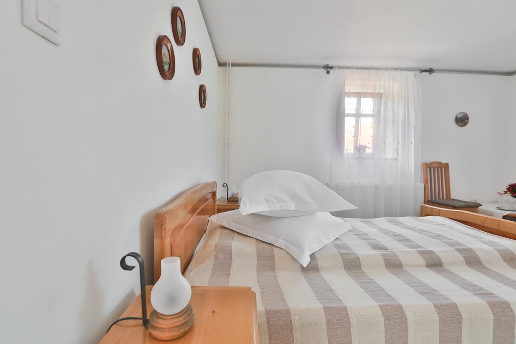 Pensiunea Casa Canda Salasu de Sus Oda fotoğraf