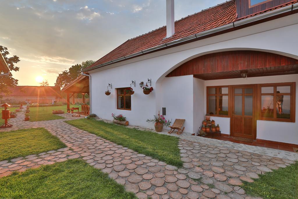 Pensiunea Casa Canda Salasu de Sus Dış mekan fotoğraf