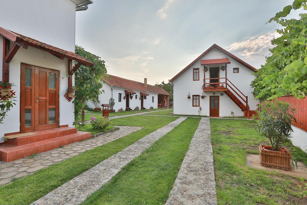 Pensiunea Casa Canda Salasu de Sus Dış mekan fotoğraf